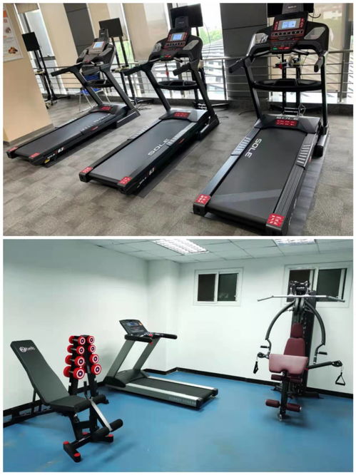 江苏徐州 健身器材选购指南——跑步机、椭圆机与健身车的深度解析